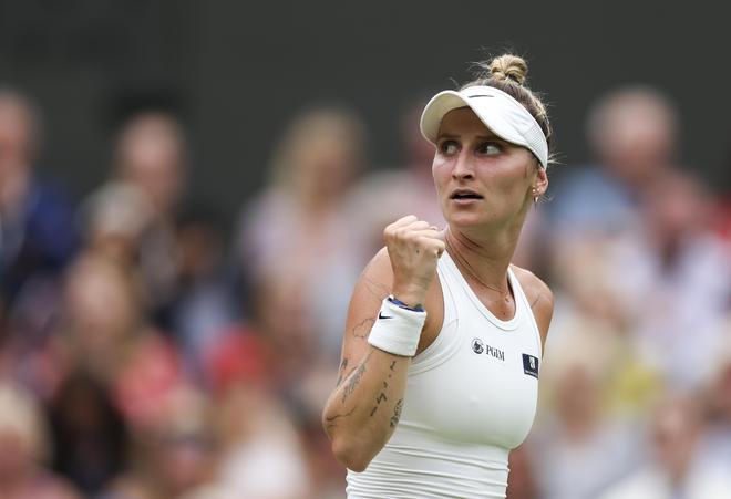 种迎难而上 种迎难而上