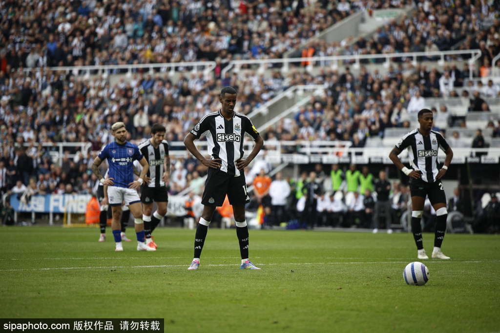 这一巨大的 这一巨大的