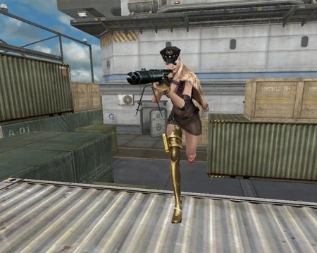 多伦多蓝鸟 多伦多蓝鸟